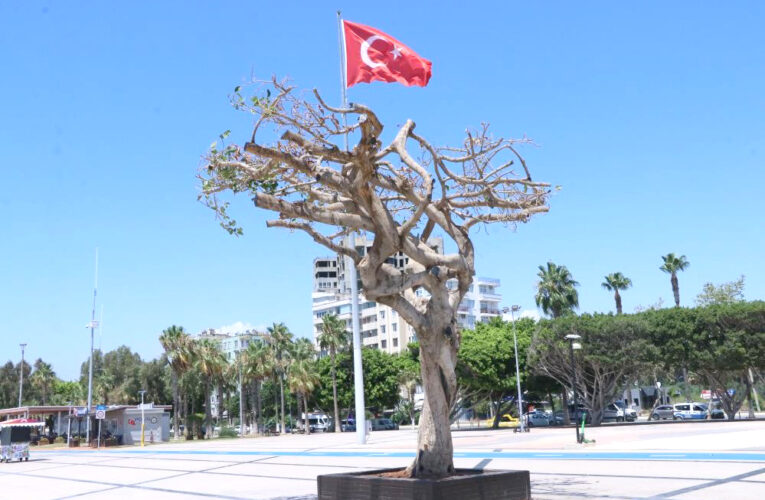 “İdari soruşturma başlatıldı”