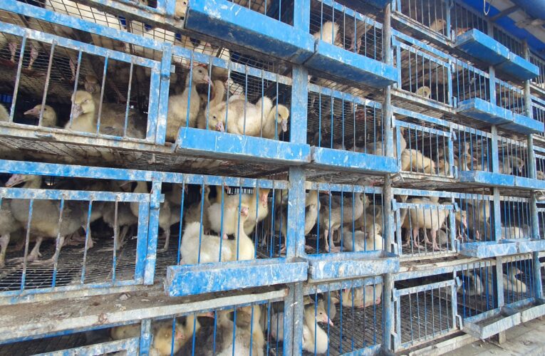 BÜYÜKŞEHİR’İN ÜRETİM ODAKLI PROJELERİ, VATANDAŞLARIN YÜZLERİNİ GÜLDÜRÜYOR