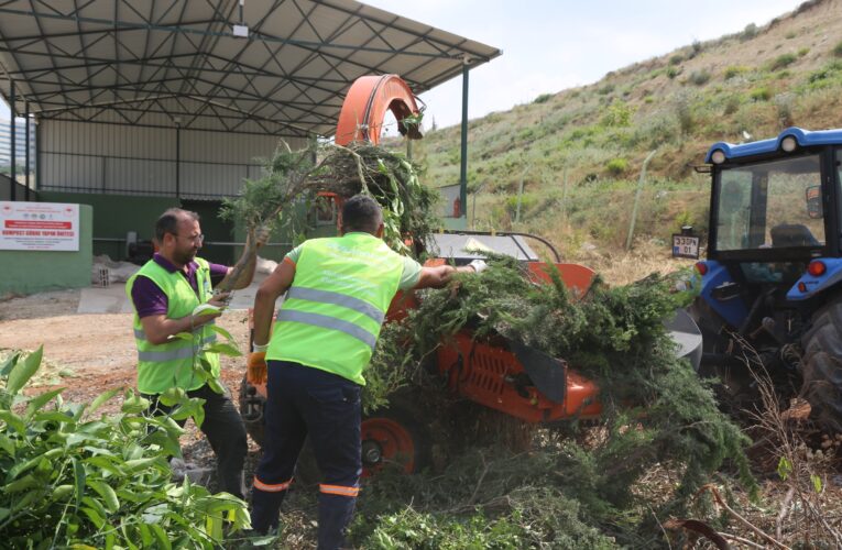“Budanan Ağaç Dalları, Park ve Yeşil Alanlarda Yeniden Kullanılıyor”