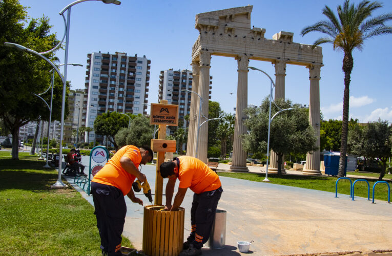 KÖPEK ATIK İSTASYONLARI YENİLENDİ, SAYILARI ARTTI