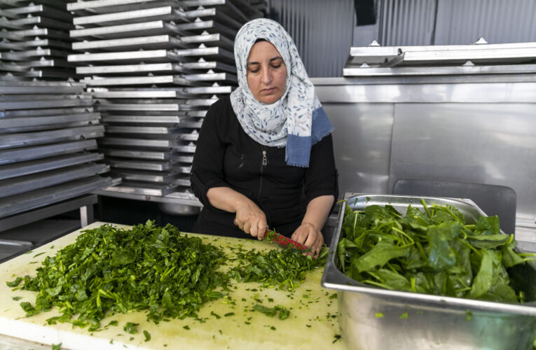 MERSİNDEN GÜNEŞ ENERJİSİ İLE KURUTMA TESİSİ’NDE HEM YEREL ÜRETİCİ HEM DE KADINLAR DESTEKLENİYOR