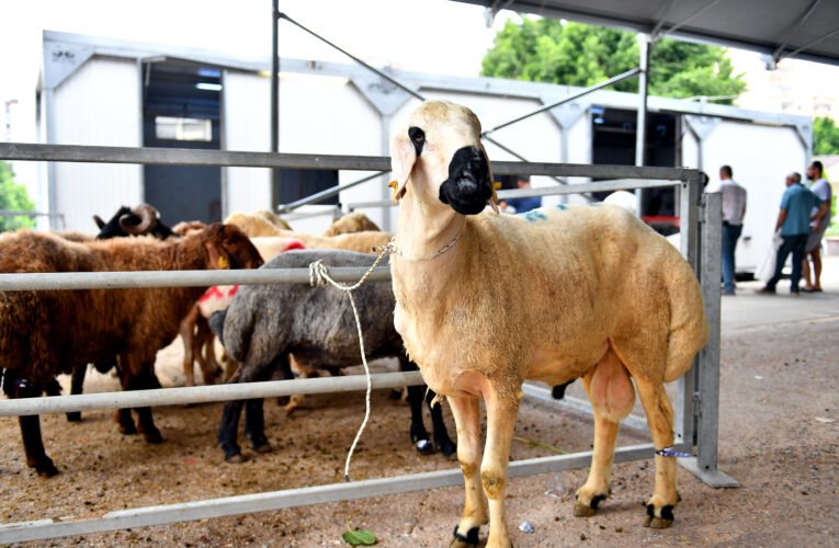 BAYRAMIN 1. GÜNÜNDE BÜYÜKŞEHİR’İN MEZBAHALARI VE MOBİL KESİM ÜNİTELERİNE YOĞUN İLGİ