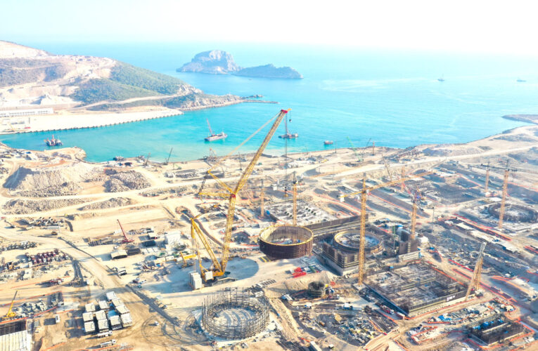 “Başaracağız ve Akkuyu NGS’nin ilk ünitesini 2023 yılında tamamlayacağız”