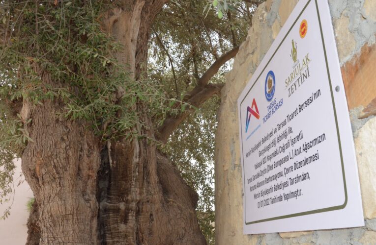 Temizlik ve çevre düzenlemesi yapıldı