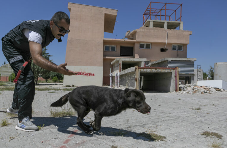 MERSİN BÜYÜKŞEHİR’E AİT K9’LAR CİDDİ VE BAŞARILI İŞLER ÇIKARIYOR
