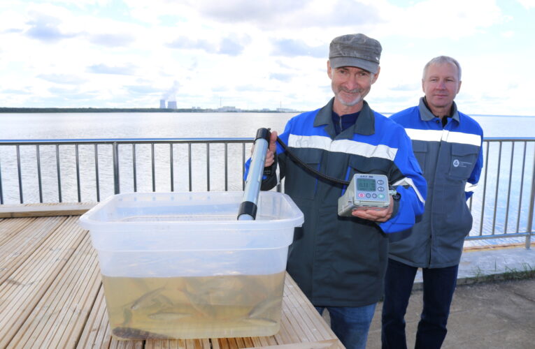 ROSATOM, İKİNCİ ULUSLARARASI BALIKÇILIK TURNUVASINA EV SAHİPLİĞİ YAPTI