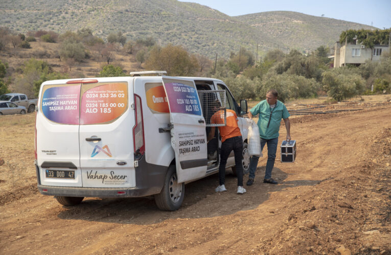 BÜYÜKŞEHİR, YANGIN BÖLGESİNDEKİ CAN DOSTLARINI UNUTMADI