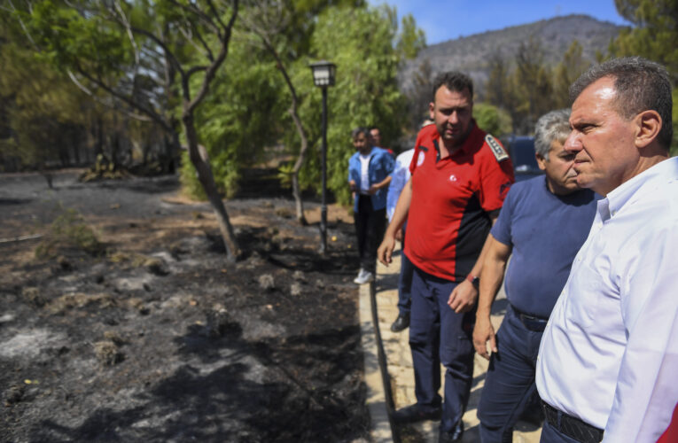 BAŞKAN SEÇER YANGIN BÖLGESİNDE İNCELEMELERDE BULUNDU