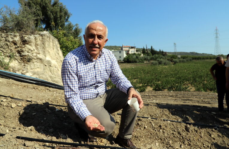 ŞEVKETİ BOSTAN TOHUMLARI TOPRAKLA BULUŞTURULDU