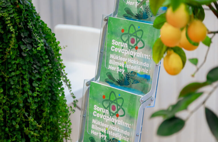 “Akkuyu Sahasındaki Yapı Malzemelerinin Çoğu Türk Yapımı”