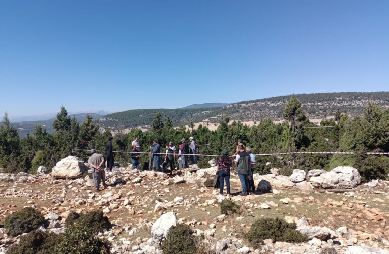 Tarsus’ta defne üretim tatbikatı yapıldı