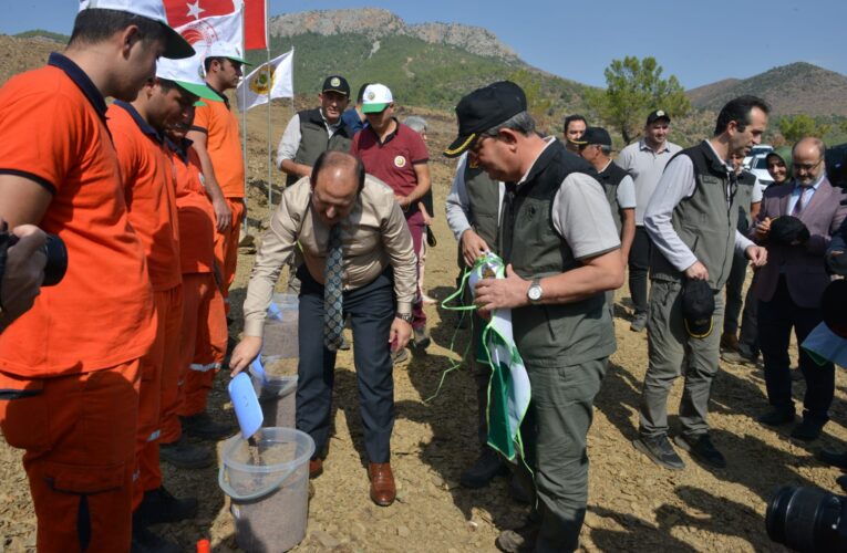 Pehlivan ile yanan alanlara ilk tohumlar atıldı