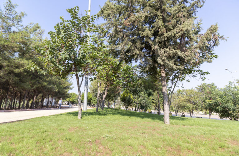 68’LİLER BARIŞ ORMANI BÜYÜKŞEHİR TARAFINDAN YENİLENDİ