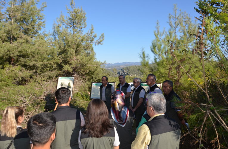 Gençlik geleceğimizdir