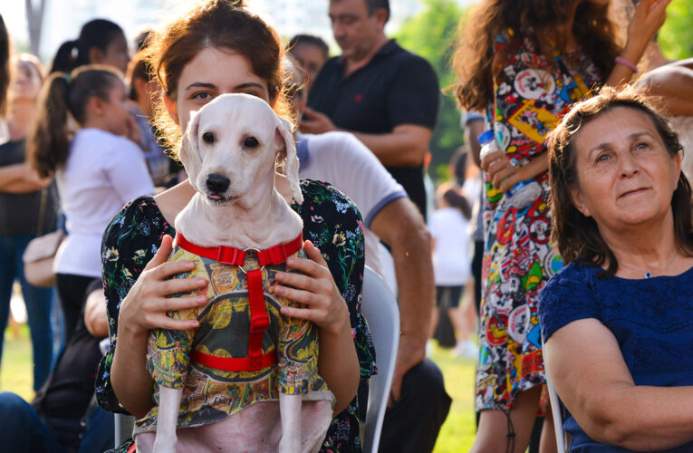 PATİLİ DOSTLARIMIZIN FESTİVALİ 9 EKİM’DE