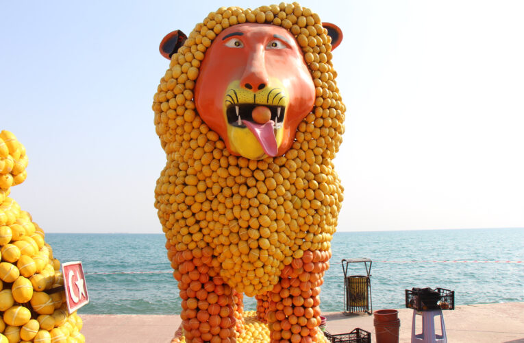 ‘Mersin Narenciyedir, Narenciye Hayattır’