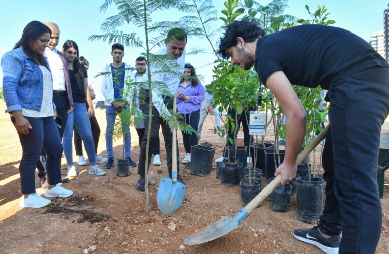Yapı kullanma izinlerinde ağaç dikim zorunluluğu