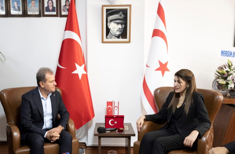 “YAVRU VATANIN MENFAATLERİ İÇİN ÜZERİMİZE DÜŞENİ YAPMAYA HAZIRIZ”