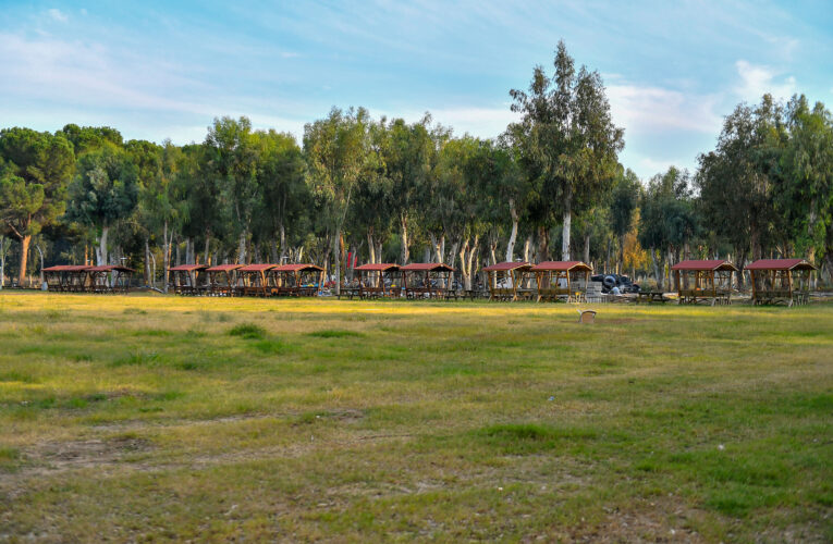 “HARİKA BİR GENÇLİK KAMPIMIZ OLACAK”