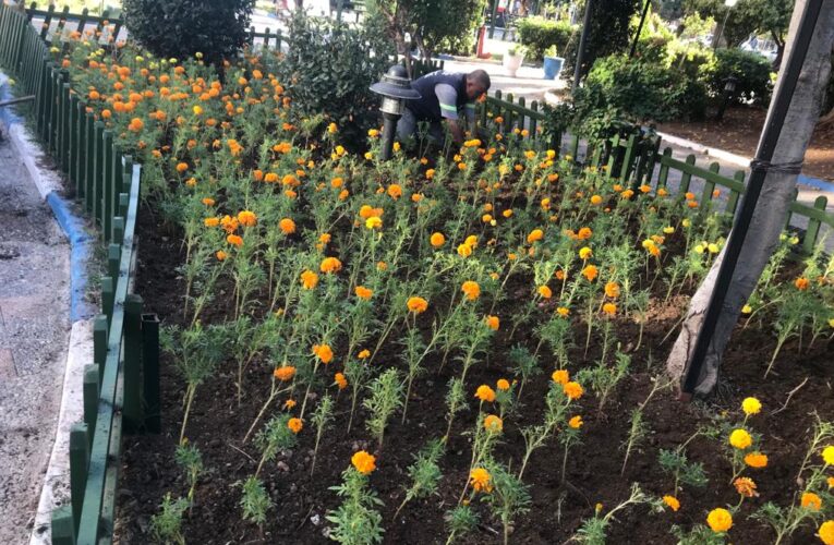 AKDENİZ’İN PARK VE YEŞİL ALANLARI ELDEN GEÇİYOR