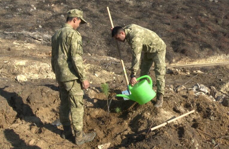 Yanan Sahaları Hep Birlikte Yeşertiyoruz