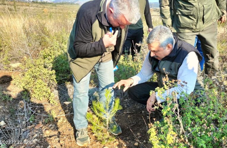 Silvikültürel Faaliyetler Yerinde İncelendi