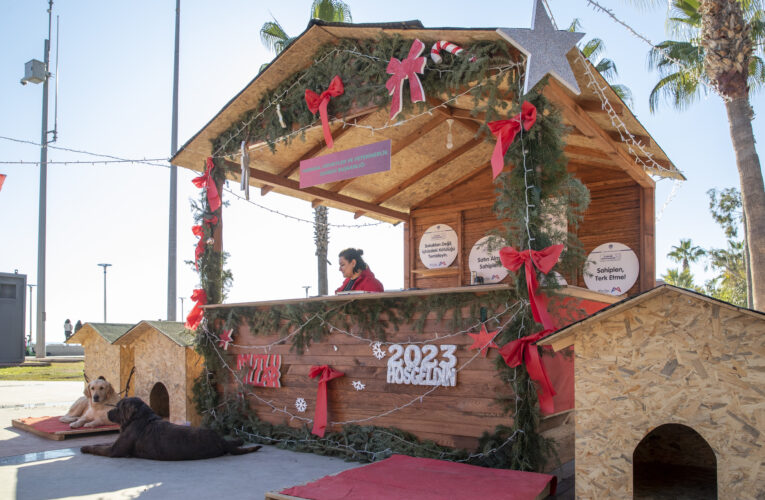 CAN DOSTLAR ‘YILBAŞI PAZARI’NDA YENİ SAHİPLERİNİ BEKLİYOR