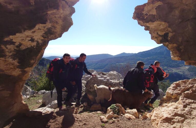 KURTARILAN KEÇİLERE İLK SUYU KAHRAMAN İTFAİYECİLER İÇİRDİ