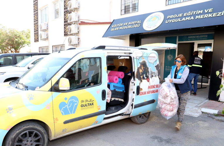 AKDENİZ BELEDİYESİ SOKAKTA YAŞAYAN CANLARI DA UNUTMADI