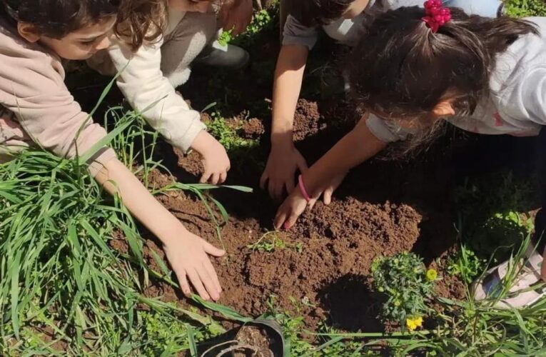 21 MART DÜNYA ORMANCILIK GÜNÜ VE ORMAN HAFTASI: “SEN DE BİR FİDAN DİK”