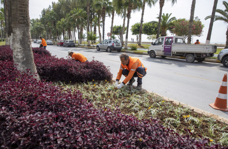 BÜYÜKŞEHİR’DEN KENT GENELİNDE PEYZAJ ÇALIŞMALARI