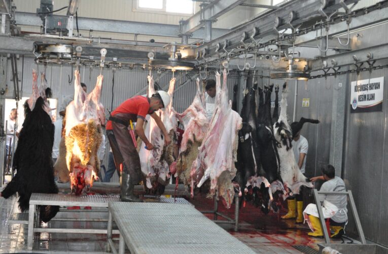 BÜYÜKŞEHİR’İN MEZBAHALARI VE MOBİL KESİM ÜNİTELERİNE YOĞUN İLGİ