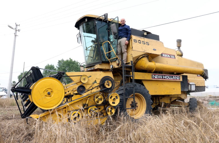 AKDENİZ’DE HASAT ZAMANI!
