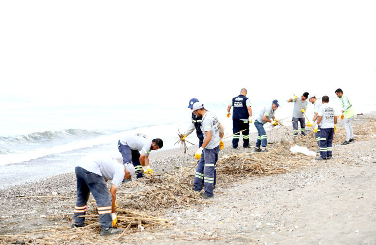 KAZANLI SAHİLİNDE BİRİKEN TONLARCA KARGI VE TARIMSAL ATIK TOPLANDI