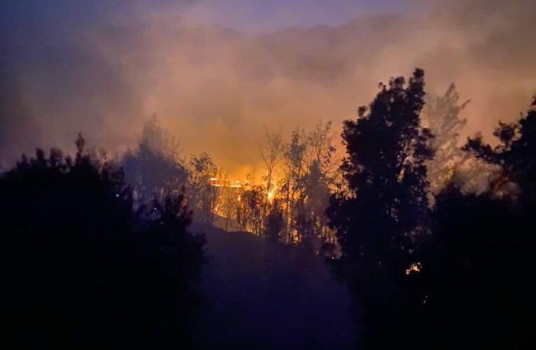Anamur’da Orman Yangını
