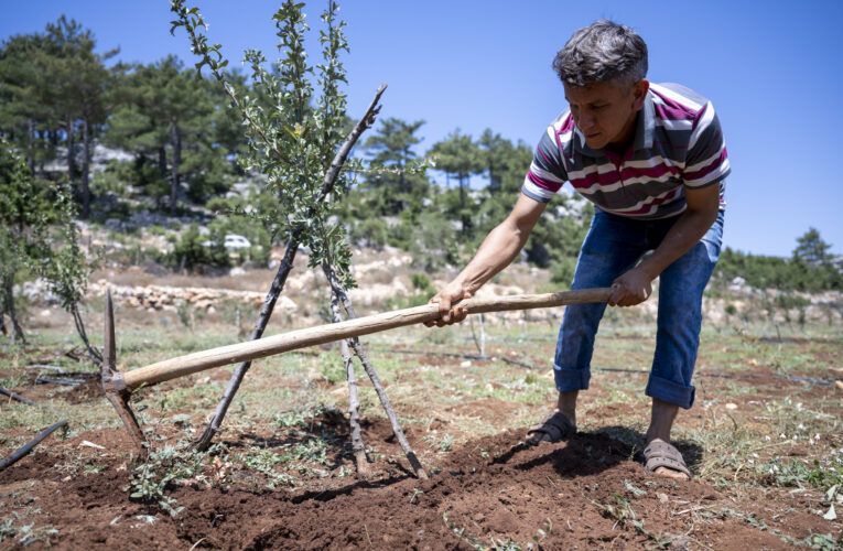 MERSİN BÜYÜKŞEHİR’İN TARIMSAL HAMLELERİ DEVAM EDİYOR