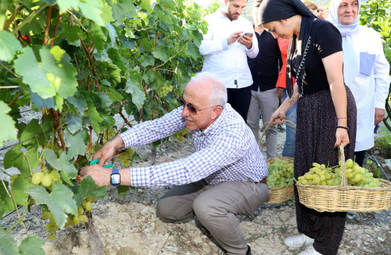 “ESENLİ ÜZÜM ŞENLİĞİ BAŞLIYOR”