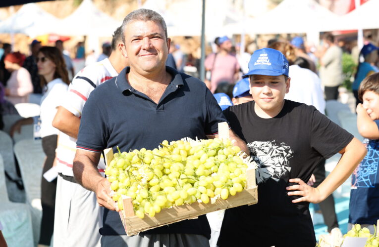 “KESİLMEMİŞ ÜZÜM KALMADI”