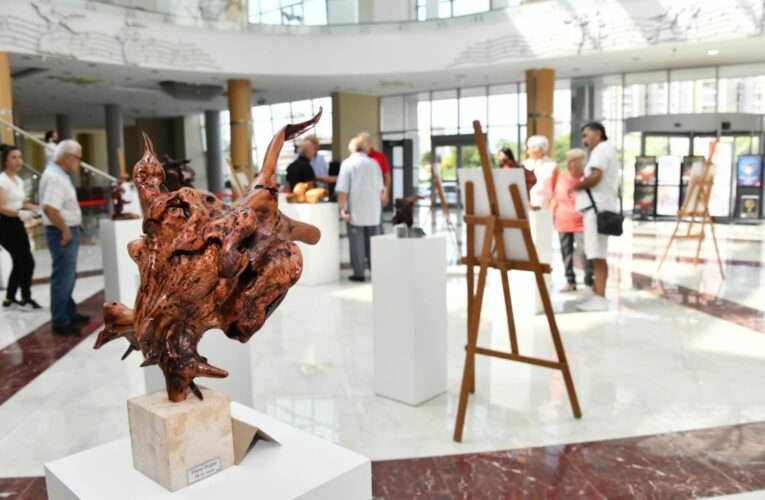 “Ardıç’ın Gizemi” sergisi Yenişehir’de açıldı