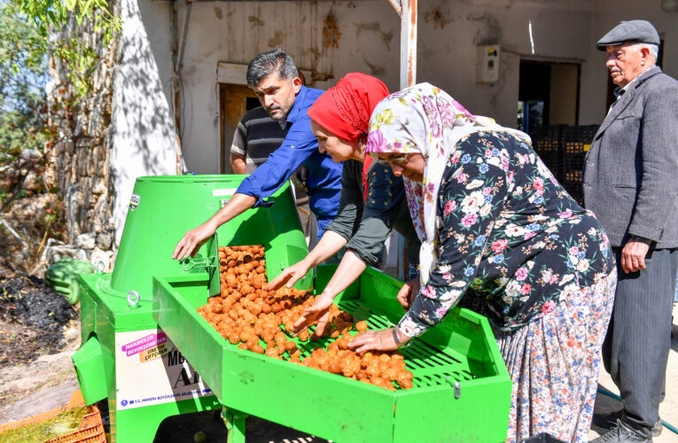 SİLİFKELİ CEVİZ ÜRETİCİLERİNİN KABUK SOYMA DERDİ BÜYÜKŞEHİR İLE SONA ERDİ