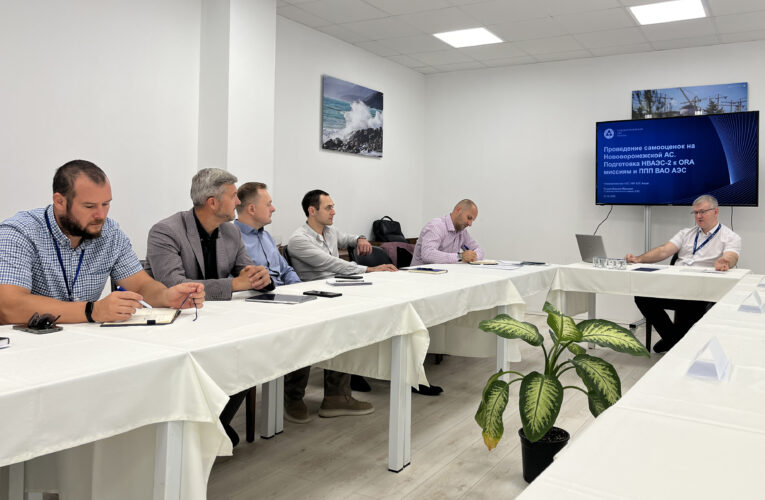 WANO Destek Mı̇syonu Akkuyu NGS Personelı̇ne Eğı̇tı̇m Verdı̇