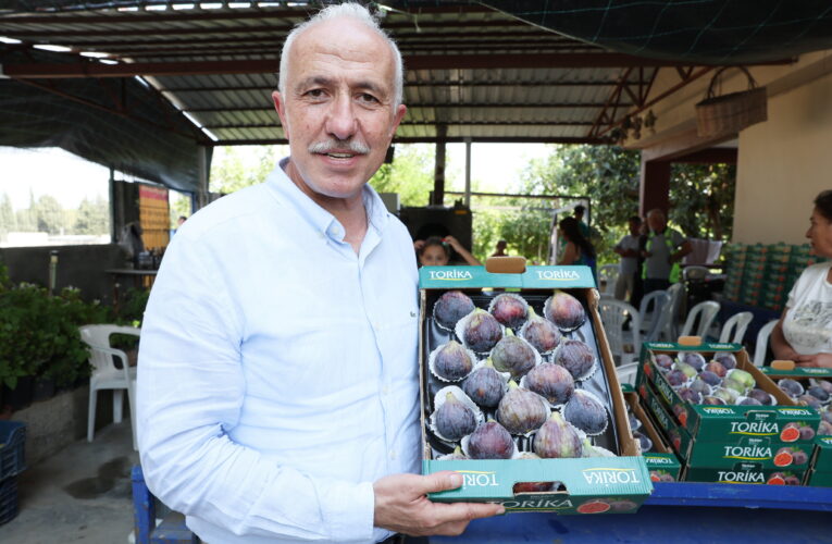 Akdeniz Belediyesi ile İncir Araştırma Enstitüsü arasında protokol imzalandı