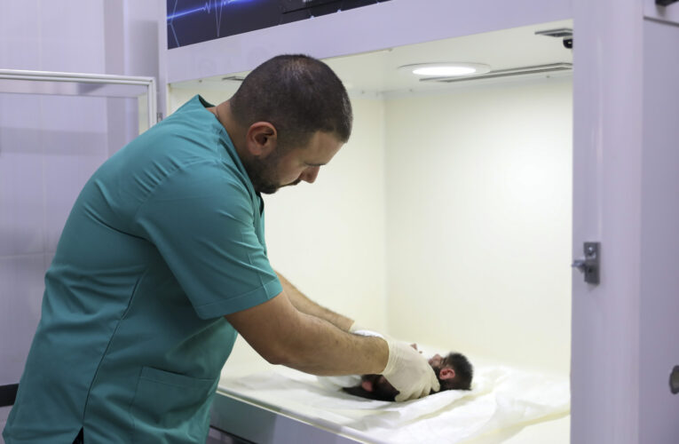 TARSUS DOĞA PARKI’NIN YENİ ÜYESİ LİMON’A EKİPLER ANNELİK YAPIYOR