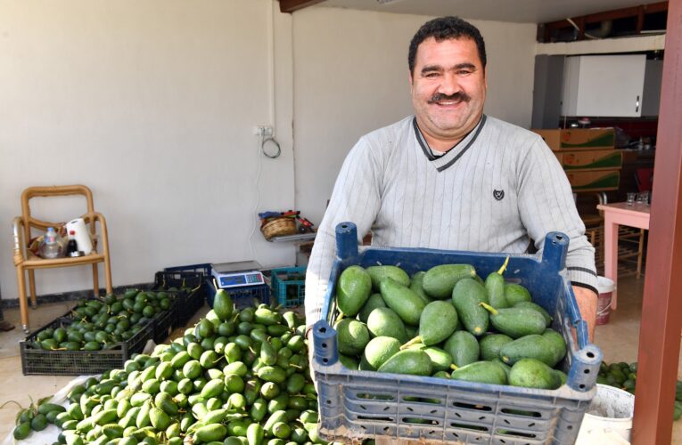 BÜYÜKŞEHİR, ÜRETİCİLERE ALTERNATİF GELİR KAPILARI OLUŞTURMAYA DEVAM EDİYOR