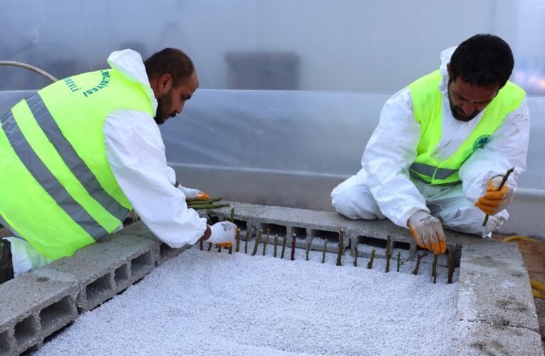 TOROSLAR BELEDİYESİNDEN, CUMHURİYETİMİZİN 100. YILINA ÖZEL 100 BİN BİTKİ ÜRETİMİ