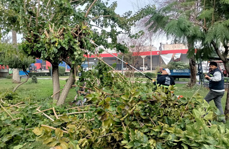 Ekipler, ihtiyaç duyan yerlerde budama, temizlik ve toprak takviyesi de yapıyor