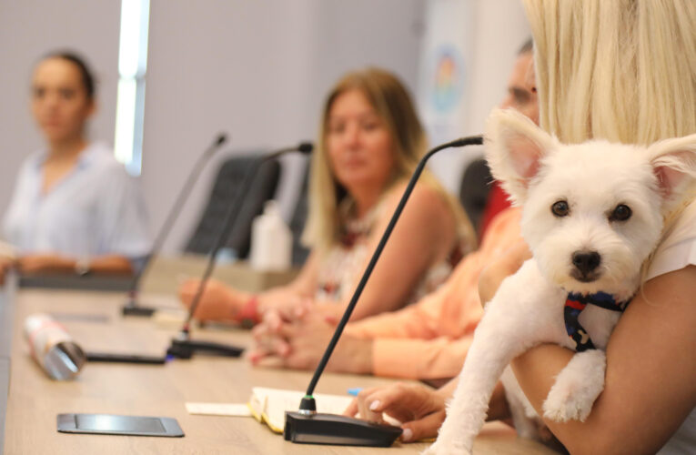 MEZİTLİ’DE PATİLİ DOSTLAR İÇİN FARKINDALIK TOPLANTISI GERÇEKLEŞTİ