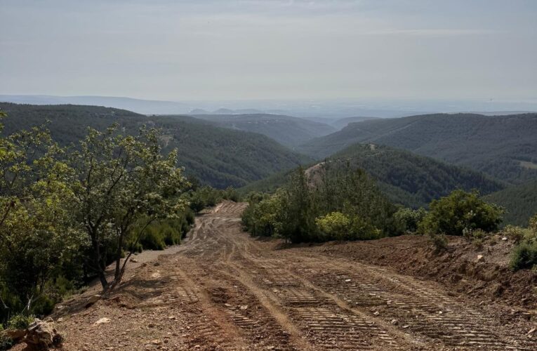 Yangın Emniyet Şeritlerinin Bakımı Yapıldı