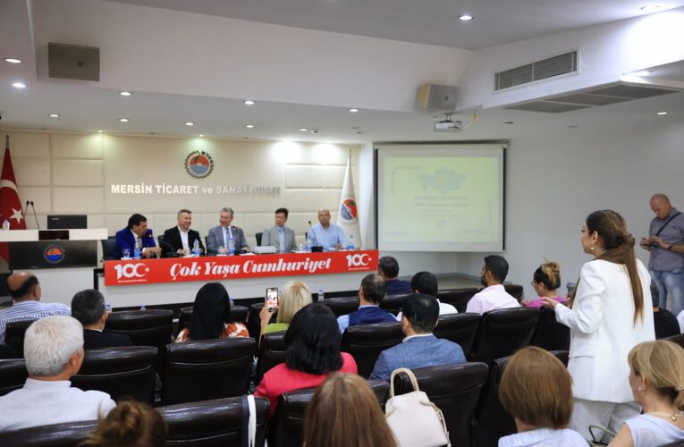 CHP’Lİ KIŞ: “ÇEŞMELİ-TAŞUCU OTOYOLUNU ÇİLE YOLU OLMAKTAN ÇIKARIN ARTIK ”