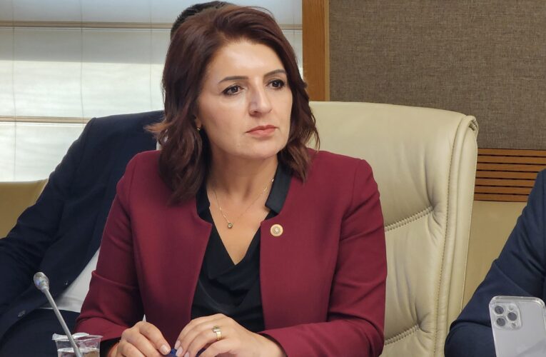 CHP MERSİN MİLLETVEKİLİ GÜLCAN KIŞ:“1 MİLYON ÖĞRETMENİN SESİNİ DUYUN”